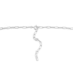 Load image into Gallery viewer, Silver Link Charm Chain Necklace
