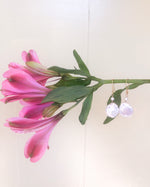 Load image into Gallery viewer, Pearl Petals
